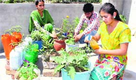 Pallavi Sharma (right) with her friends at her terrace kitchen garden in Bathinda.
