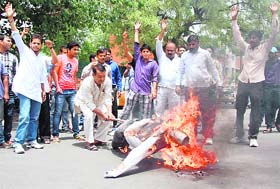 Social activists burn an effigy of Gopal Kanda on the launching of his political party in Gurgaon on Friday