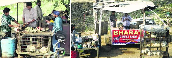A view of slaughter houses that have been facing residents ire in Jalandhar. Photo: Sarabjit Singh