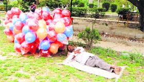 A balloon seller enjoys a nap under the shade of a tree in a garden in Amritsar.