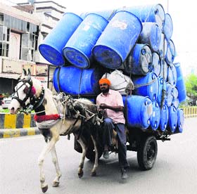 A horse draws an overloaded cart on a road in Amritsar on Sunday afternoon.