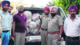 Police officials show the recovered poppy husk at Phillaur on Sunday