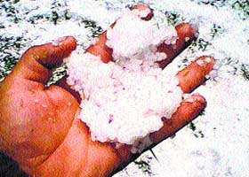 A farmer shows hailstones in his orchard in Mandi