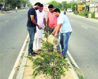 Volunteers water plants on a divider on the Ludhiana-Malerkotla road in Dehlon. A Tribune photograph