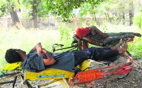 Rickshaw pullers enjoy a nap on a sunny day under the shade of a tree at Company Bagh garden in Amritsar on Thursday.