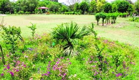 The Gol Bagh in Amritsar where a religious function is proposed to be held.