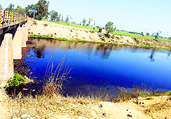 The polluted Ghaggar at Ratia in Fatehabad