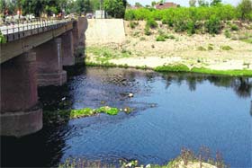 The polluted Ghaggar that has become a bane of Sardulgarh residents