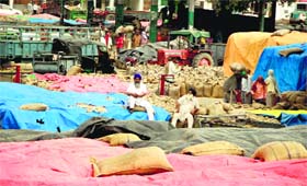 Farmers at a grain market in Jalandhar on Monday, seemingly concerned about weather conditions.