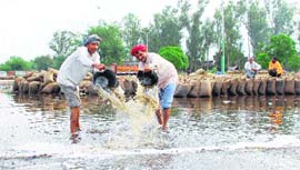 Workers throw water out of the Bhagatwala grain market, the biggest in the district, after heavy showers on Monday.