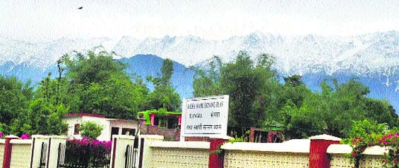 The snow-clad Dhauladhar range on Tuesday morning. Photo: Ashok Raina