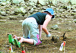 Archaeology is an interesting specialisation for students of history as it involves field work as well as opportunities for research
