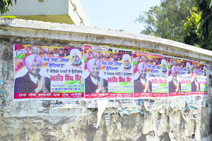 No candidate has come forward to help civic officials in removing posters from Ludhiana.