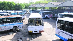 A fleet of buses parked at the CTU workshop in the Industrial Area, Phase I, Chandigarh, on Wednesday