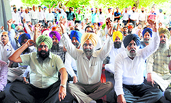 Employees raise slogans outside the Vice-Chancellors office on the Punjab Agricultural University campus in Ludhiana on Wednesday
