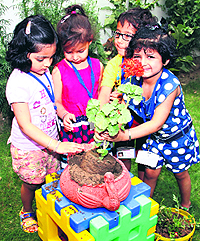 Tiny tots plant a sapling during the Green Day celebrations at Cherubs The Preschool in Ludhiana