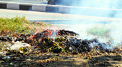 Despite Ludhiana being ranked 15th among the most polluted cities in the world, no steps have been taken to check garbage burning