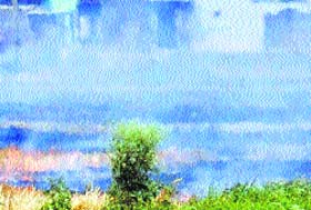 A field set on fire after the harvest near Amritsar flouting Punjab and Haryana High Court ban on stubble burning