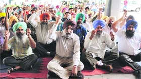 Employees of Punjab Agricultural University protest outside the Vice-Chancellor’s office in Ludhiana on Thursday