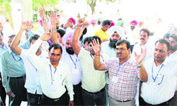 Banking and Insurance sector employees protest against the district administration for not paying them elections allowance in Jalandhar on Friday. photo: Sarabjit Singh