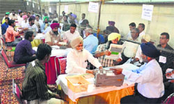 Counting of votes in progress at Gymnasium Hall, PAU, in Ludhiana on Friday. Tribune Photo
