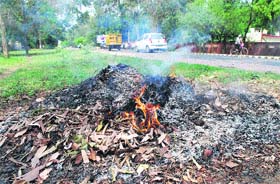 A view of dry leaves burning along Cantt Road in Amritsar on Saturday