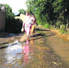 The Bhatha Road in Kangra. 