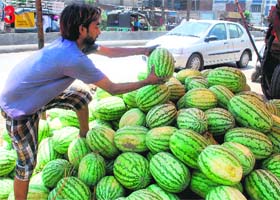 A vendor waits for customers by the road side to buy watermelons in Amritsar on Monday