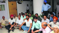 Sector 18 residents protest outside the office of the MC Commissioner deploring the civic bodys failure to check the stray dog menace in Chandigarh, on Wednesday. Tribune photo: Manoj Mahajan