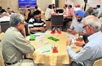 Players take part in a game of the National Open Bridge Tournament at a hotel in Chandigarh on Friday. Tribune photo: S Chandan
