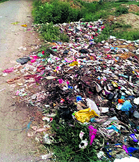 Garbage dumped on a road in Mandi Ahmedgarh