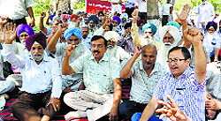 PAU Retirees Welfare Association stages a protest on the university campus in Ludhiana on Friday