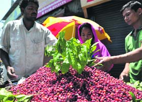 Fruity delight: Kafal, a fruit grown in high-altitude areas of Uttarakhand, is in high demand in Dehradun these days
