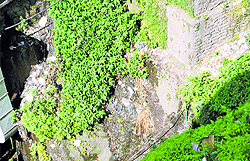Garbage scattered near the lift in Shimla