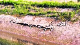 The sidewalls of the Ferozepur feeder canal are badly damaged at some places.