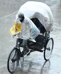 A rickshaw-puller braves light showers in Patiala on Sunday.