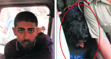 Two of the accused detained by the Panchkula police in the murder case. 
