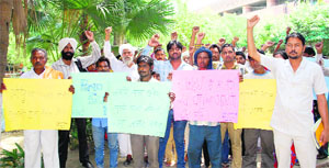 Activists of the Volunteers for Social Justice hold a protest outside the deputy commissioners office in Amritsar on Tuesday.