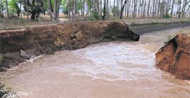 A breach in the Sirhind Canal reported on May 11. Frequent breaches in embankments are causing concern.