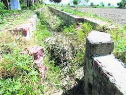 The water channel at Nidani village in Jind district is a picture of neglect. 