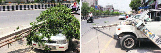 Electric poles fell on cars after a dust storm in Bathinda on Friday. 