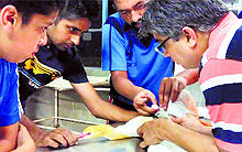 The team of doctors surgically taking out the string from the wing of an injured bird