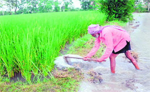 Unable to pay back bank loans, several farmers have ended their lives in the state in recent years.