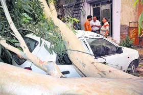 In UP, at least 14 persons were killed in squall