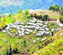 Apple orchards covered with anti-hail nets at Fagu near Shimla.