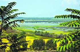 The Wular Lake in north Kashmir