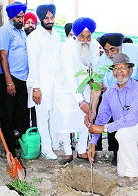 Akal Takht Jathedar Giani Gurbachan Singh (centre) and president of the Pollution Control Committee Parkash Singh Bhatti plant a sapling on Batala road