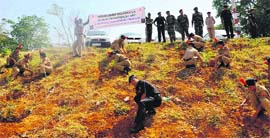 Jawans and NCC cadets plant saplings on World Environment Day in Dehradun on Thursday.