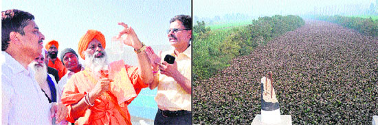 Renowned environmentalist Balbir Singh Seechewal inspects a water sample after inaugurating the treatment plant at Basti Peerdad of Kala Sanghian drain in Jalandhar on Thursday; (right) a view of the water hyacinth covered Chitti Bein in Jalandhar.