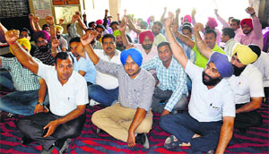 Union members protest outside the DFSC office in Ludhiana on Thursday.